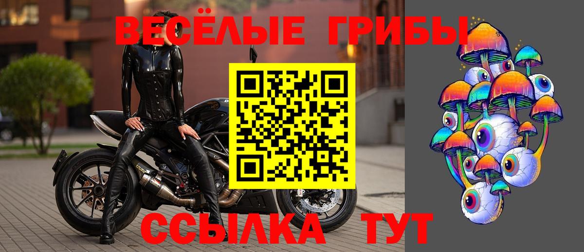 Псилоцибиновые грибы прущие грибы Улан-Удэ